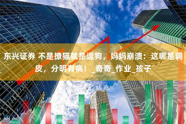 东兴证券 不是撩猫就是逗狗，妈妈崩溃：这哪是调皮，分明有病！_奇奇_作业_孩子
