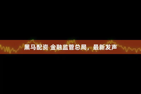 黑马配资 金融监管总局，最新发声