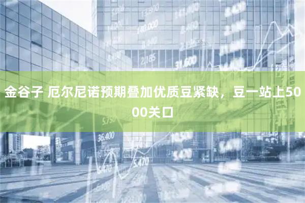 金谷子 厄尔尼诺预期叠加优质豆紧缺，豆一站上5000关口