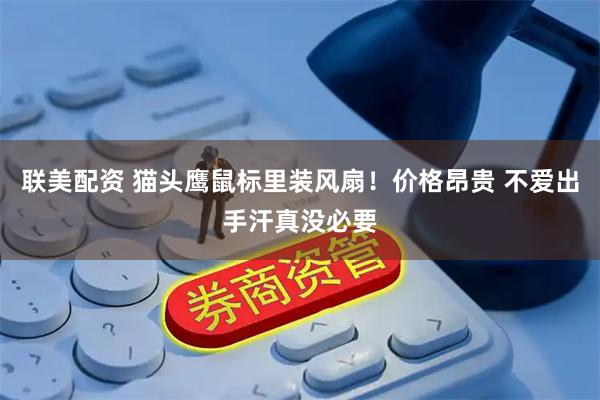 联美配资 猫头鹰鼠标里装风扇！价格昂贵 不爱出手汗真没必要