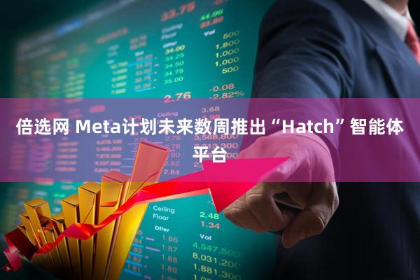 倍选网 Meta计划未来数周推出“Hatch”智能体平台